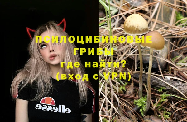 меф Медвежьегорск