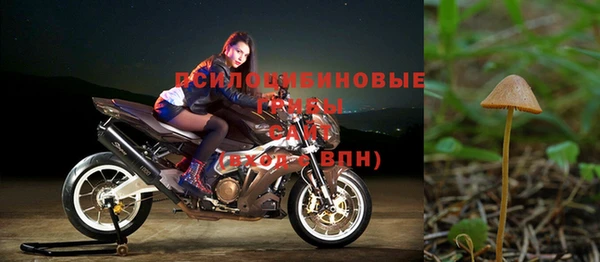 прущая мука Магадан